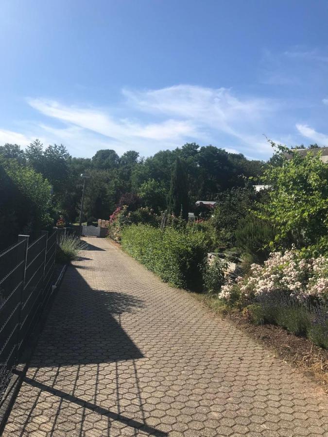 Bei Annemarie Apartment Трир Екстериор снимка