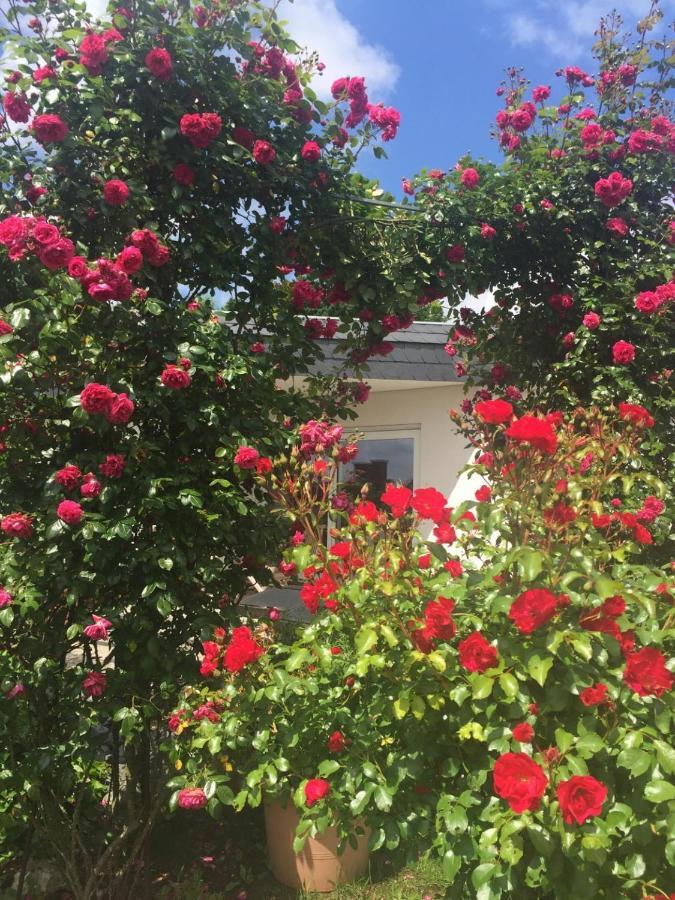Bei Annemarie Apartment Трир Екстериор снимка