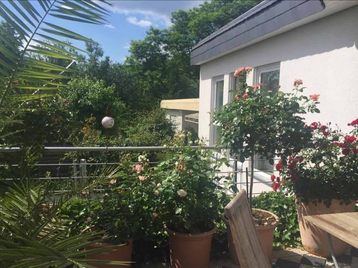 Bei Annemarie Apartment Трир Екстериор снимка